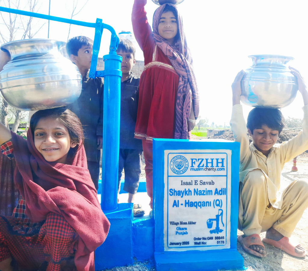 Punjab, Pakistan – Shaykh Nazim Adil Al-Haqqani (Q) – CA Order no. 38846 - Well no. 5178