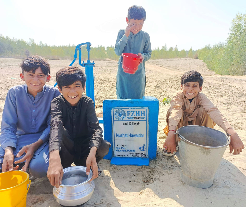 Punjab, Pakistan – Nuzhat Hawaldar – US Order no. 54933 - Well no. 5144