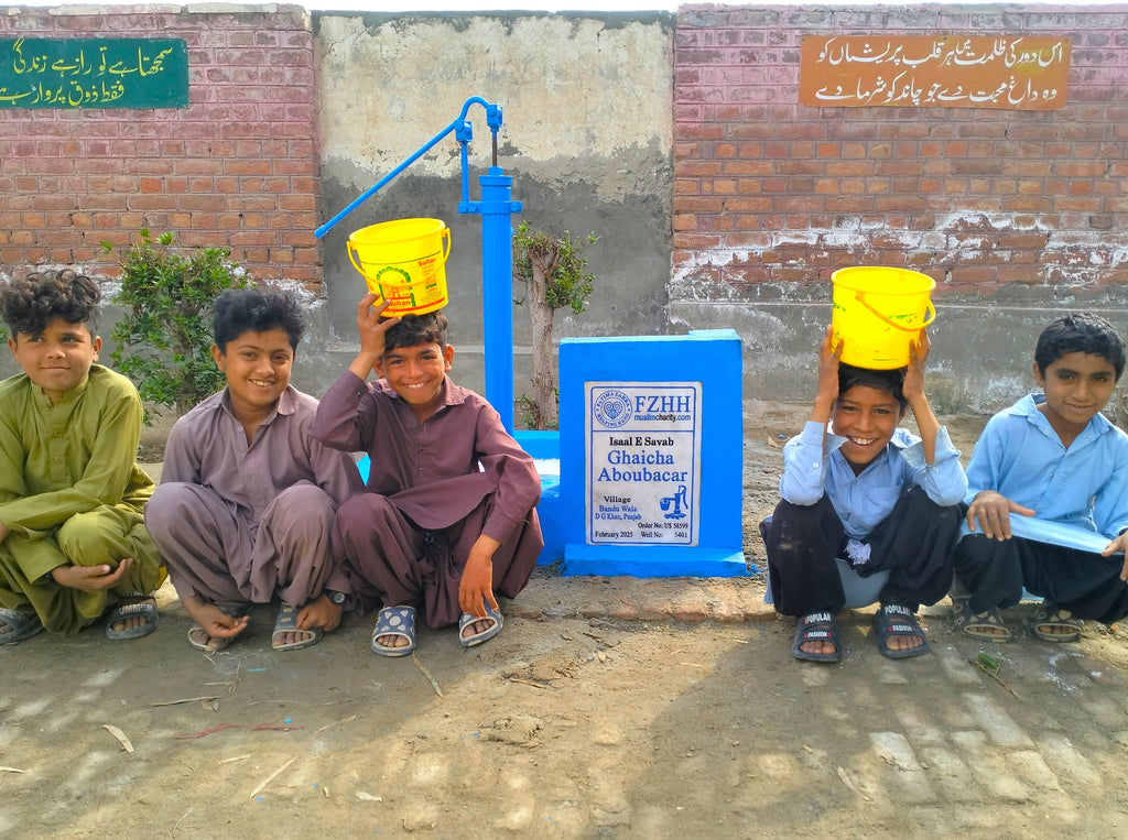 Punjab, Pakistan – Ghaicha Aboubacar – US Order no. 58599 - Well no. 5401