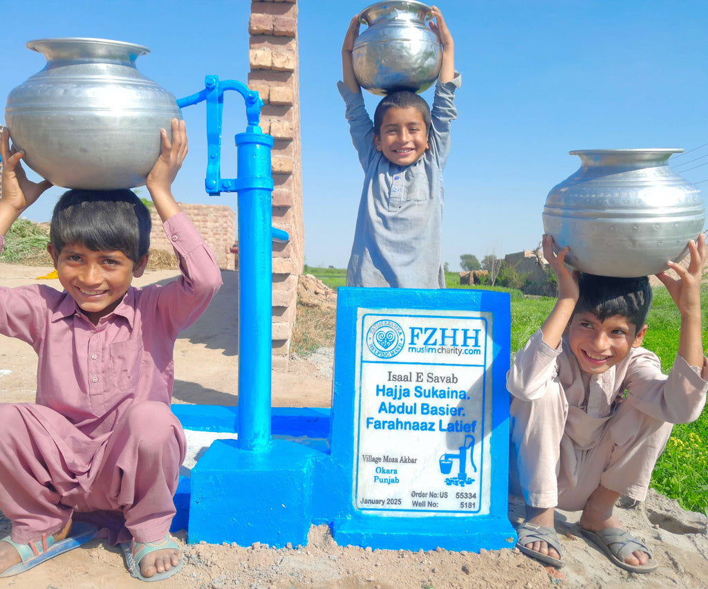 Punjab, Pakistan – Hajja Sukaina, Abdul Basier, Farahnaaz Latief – US Order no. 55334 - Well no. 5181