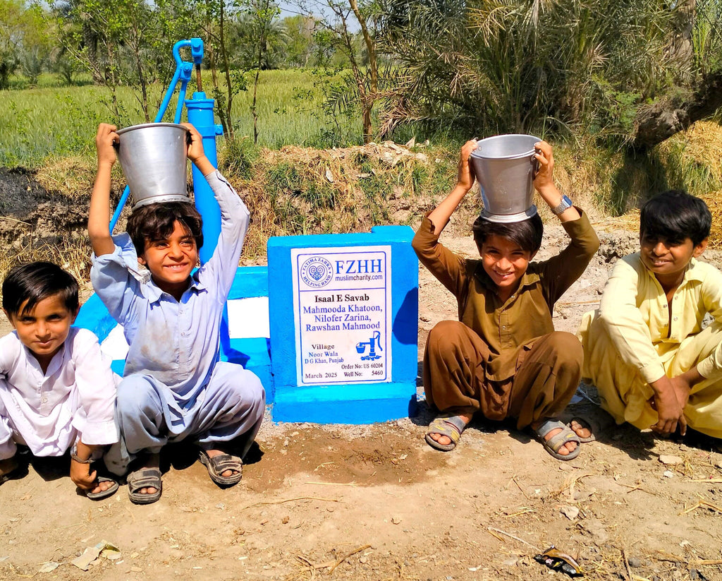 Punjab, Pakistan – Mahmooda Khatoon, Nilofer Zarina, Rawshan Mahmood – US Order no. 60204 - Well no. 5460