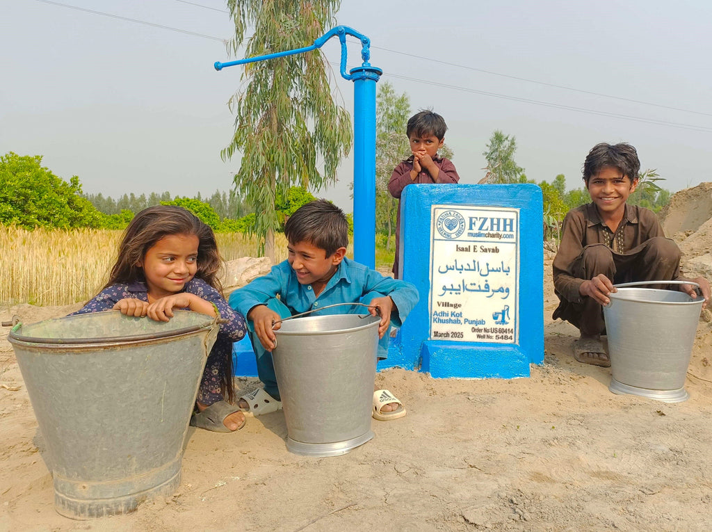 Punjab, Pakistan – باسل الدباس و مرفت ايبو – US Order no. 60414 - Well no. 5484