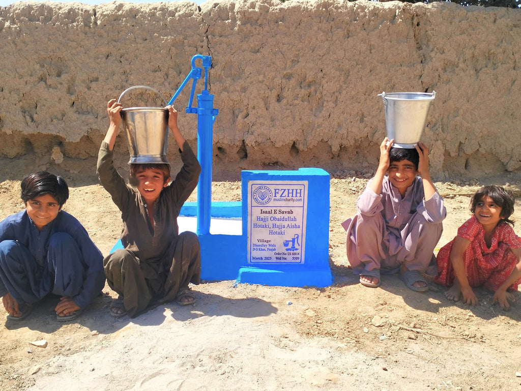Punjab, Pakistan – Hajji Obaidullah Hotaki , Hajja Aisha Hotaki – US Order no. 60814 - Well no. 5509