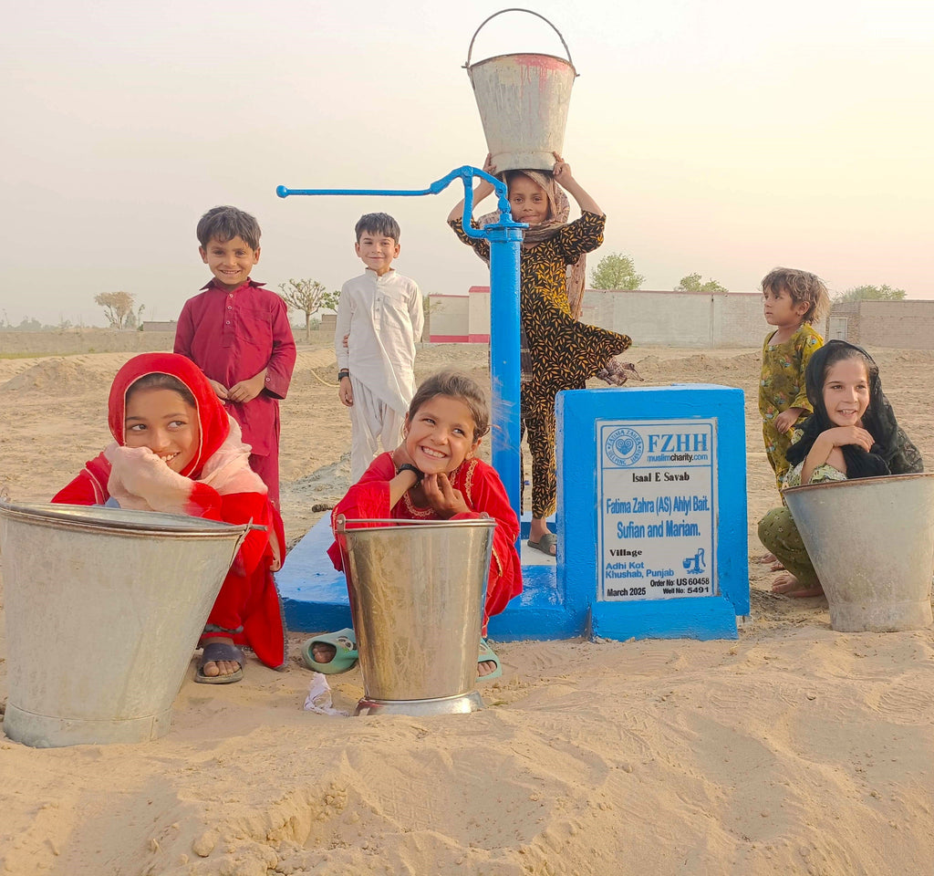 Punjab, Pakistan – Fatima Zahra (AS) Ahlyl Bait. Sufian and Mariam – US Order no. 60458 - Well no. 5491