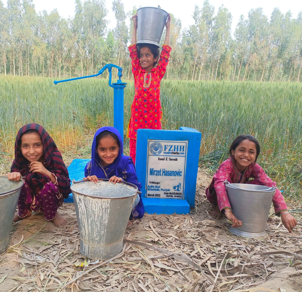 Punjab, Pakistan – Mirzet Hasanovic – US Order no. 60439 - Well no. 5482