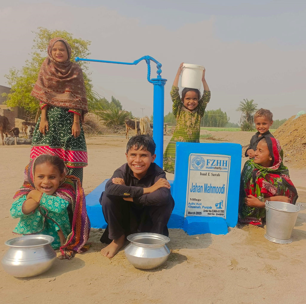Punjab, Pakistan – Jahan Mahmoodi – CA Order no. 41785 - Well no. 5488