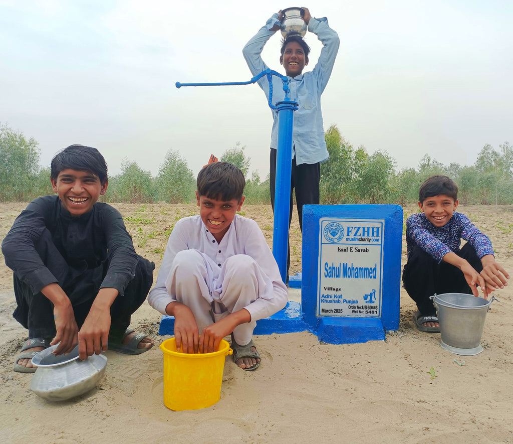 Punjab, Pakistan – Sahul Mohammed – CA Order no. 60446 - Well no. 5481