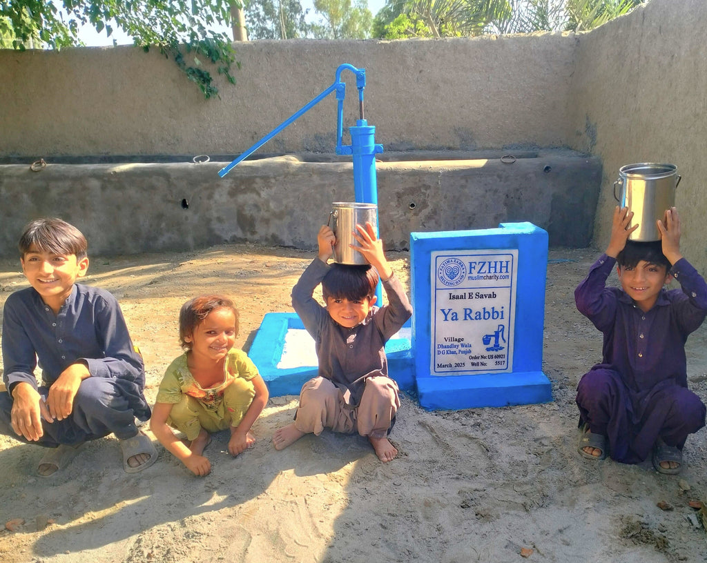 Punjab, Pakistan – Ya Rabbi – US Order no. 60921 - Well no. 5517