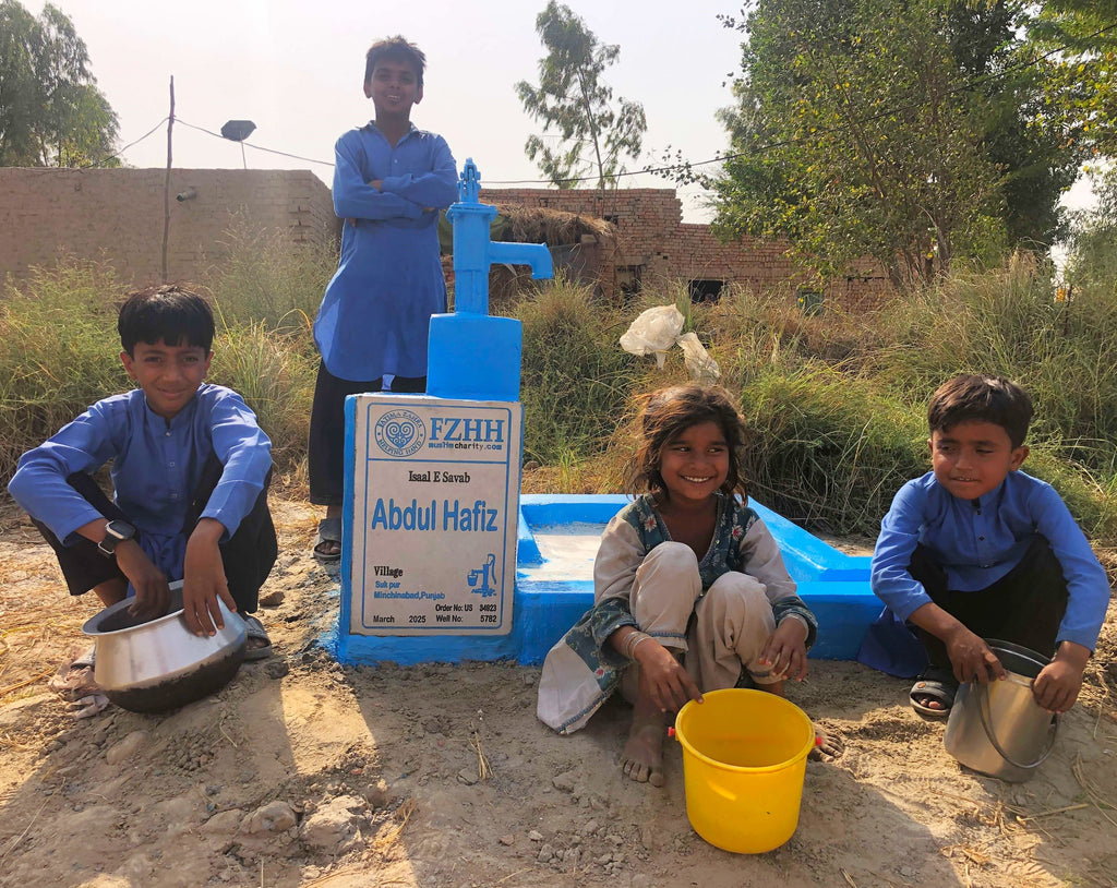 Punjab, Pakistan – Abdul Hafiz –  CA Order no. 34923 - Well no. 5782