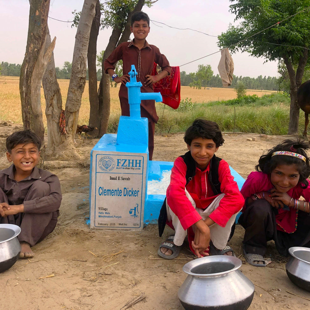 Punjab, Pakistan – Clemente Dicker – Well no. 5276