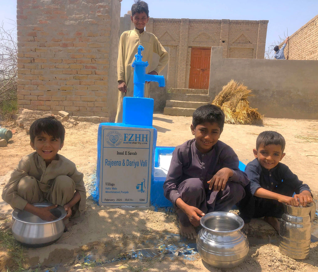 Punjab, Pakistan – Rajeena & Dariya Vali – Well no. 5288
