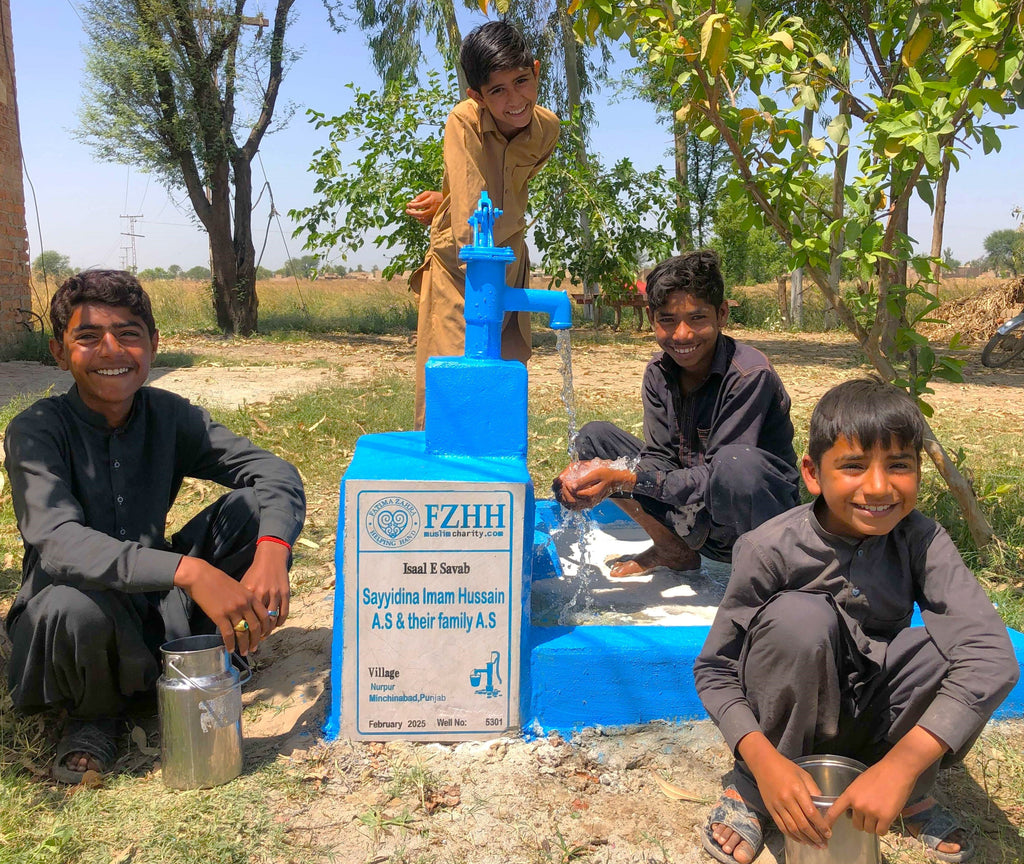 Punjab, Pakistan – Sayyidina Imam Hussain A.S & their family A.S – Well no. 5301