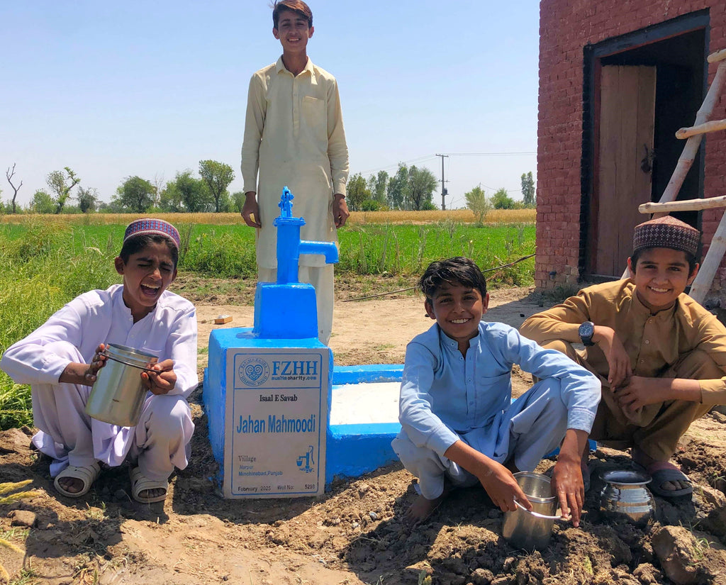 Punjab, Pakistan – Jahan Mahmoodi – Well no. 5298