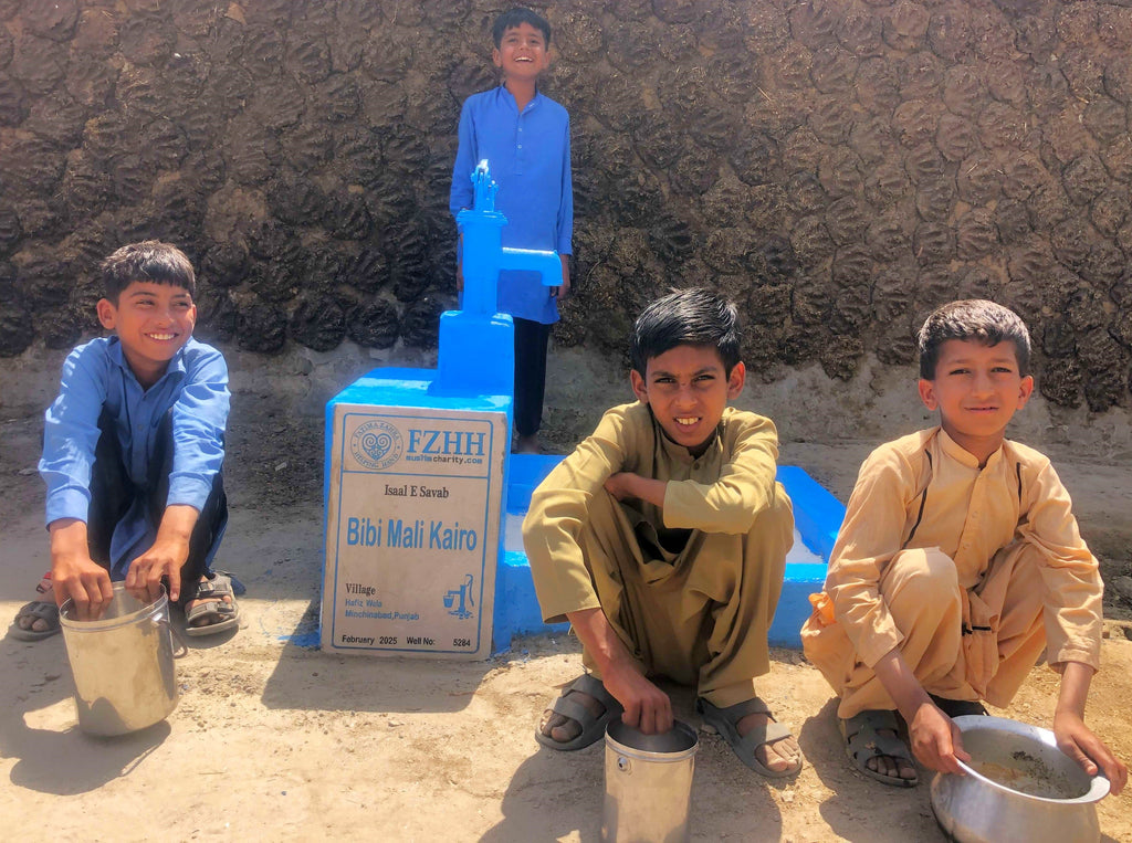 Punjab, Pakistan – Bibi Mali Kairo – Well no. 5284