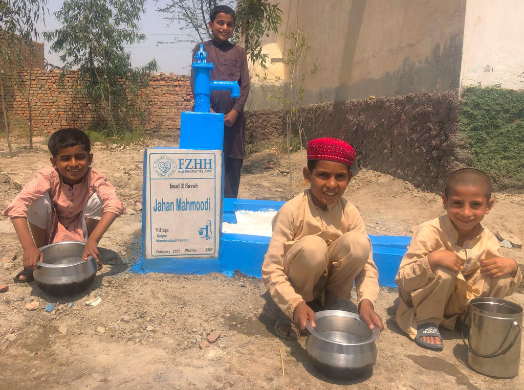 Punjab, Pakistan – Jahan Mahmoodi – Well no. 5297