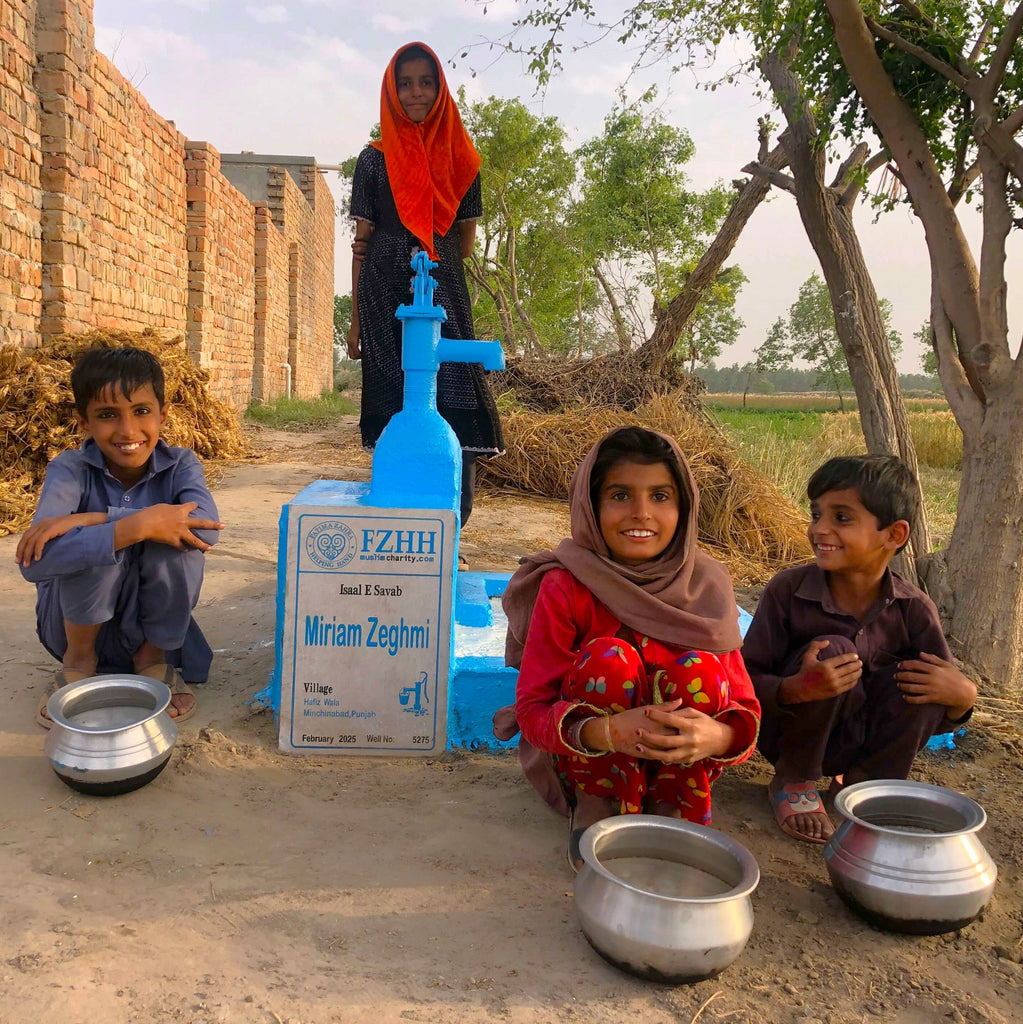 Punjab, Pakistan – Miriam Zeghmi – Well no. 5275