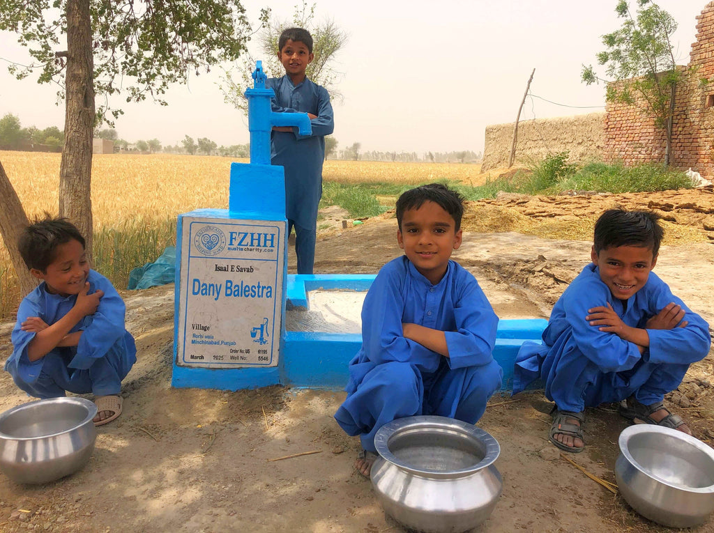 Punjab, Pakistan – Dany Balestra – US Order no. 61195 - Well no. 5546
