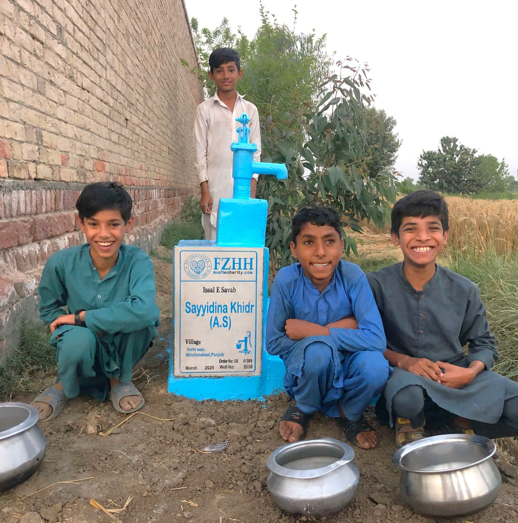 Punjab, Pakistan – Sayyidina Khidr (A.S) – US Order no. 61089 - Well no. 5539