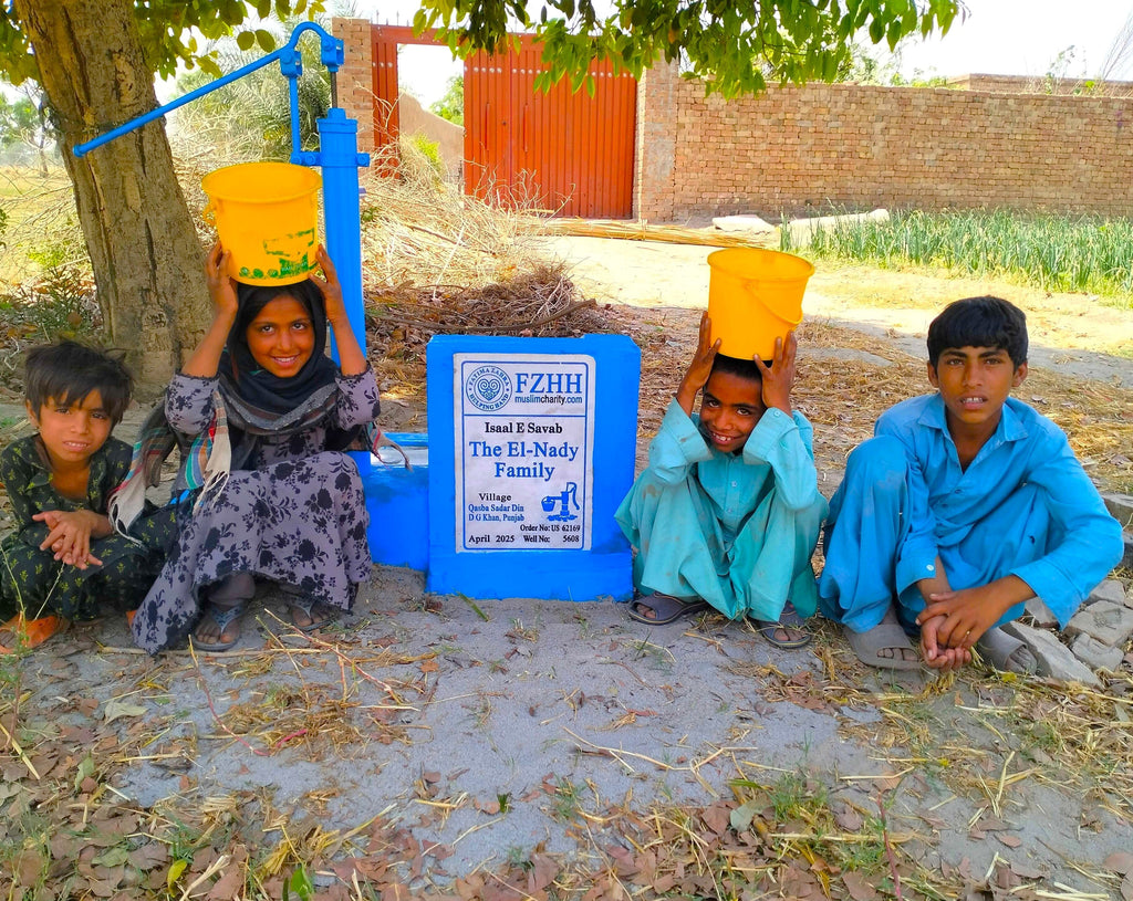 The El-Nady Family - Order no. US 62169 - Well no. 5608