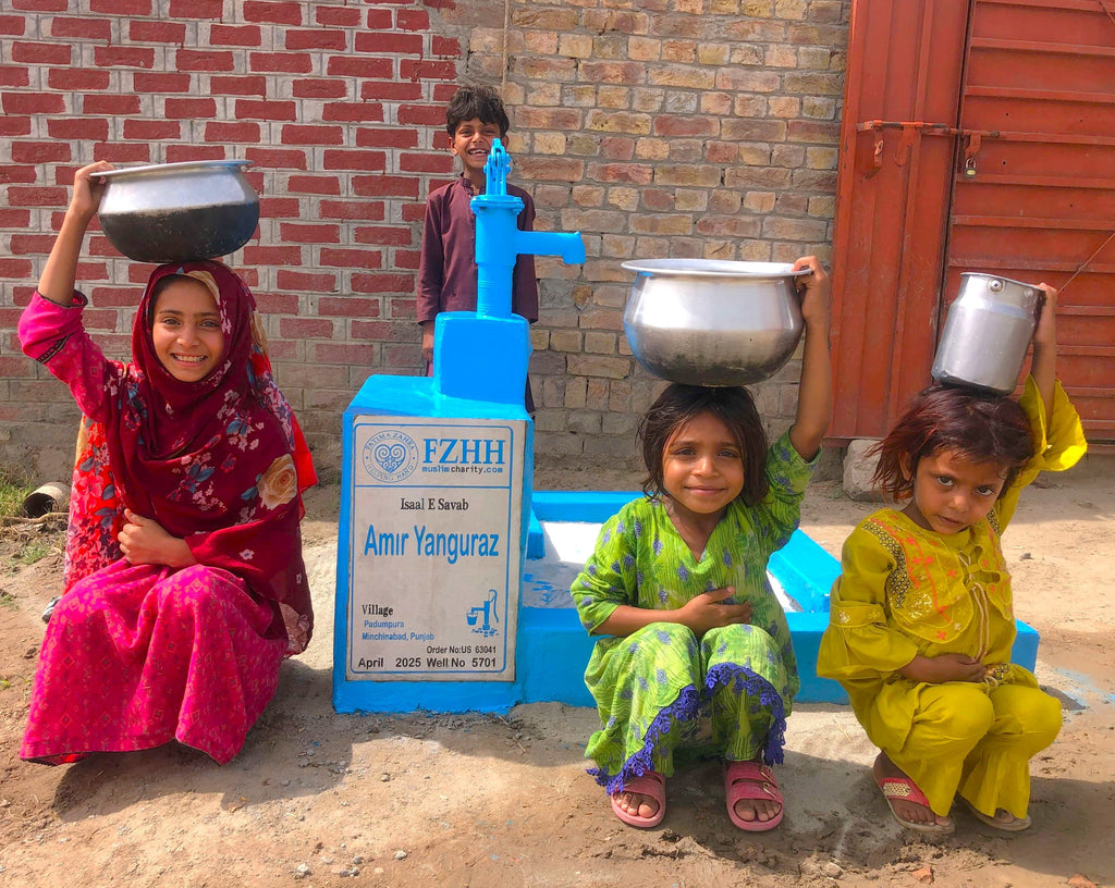 Amir Yanguraz - Order no. US 63041 - Well no. 5701