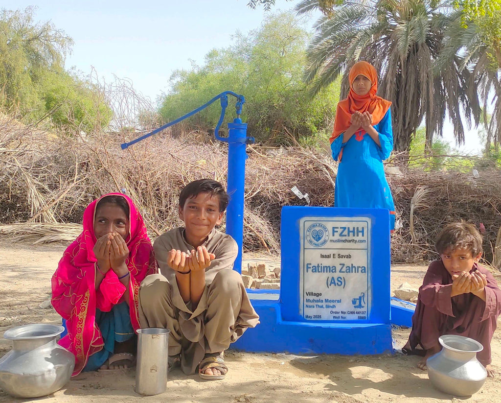 Fatima Zahra (AS) - Order no. CAN 44137 - Well no. 5869