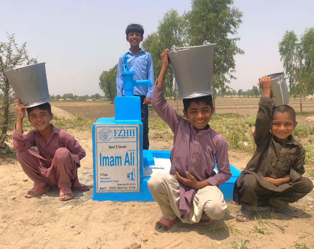 Imam Ali عليه السلام - Order no. US 63150 - Well no. 5709