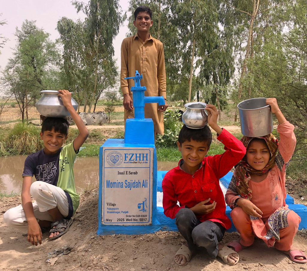 Momina Sajidah Ali - Order no. CAN 43820 - Well no. 5817