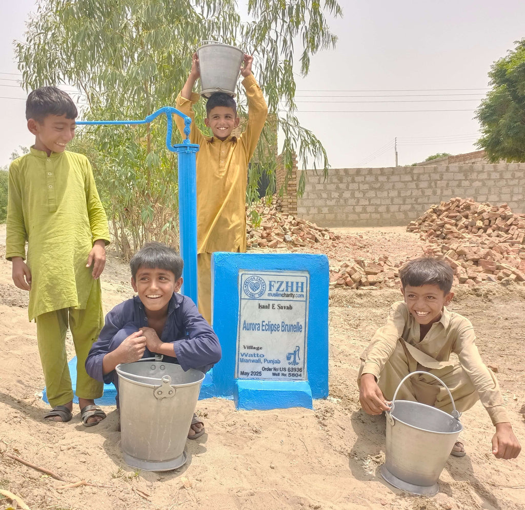 Aurora Eclipse Brunelle - Order no. US 63936 - Well no. 5804