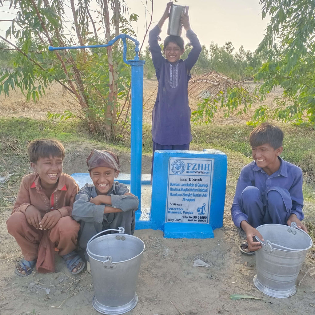 Mawlana Jamaluddin Al Ghumuqi, Mawlana Shaykh Hisham Kabbani, Mawlana Shaykh Nazim Adil Al-Haqqani - Order no. US 63990 - Well no. 5806