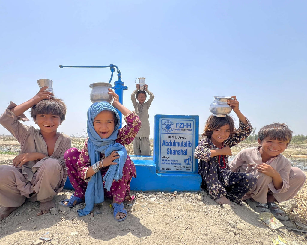 Abdulmutalib Shanshal - Order no. US 66259 - Well no. 5901