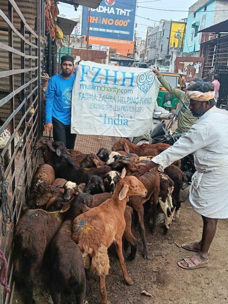Qurban Activity in Hyderabad, India - Mar 19, 2026