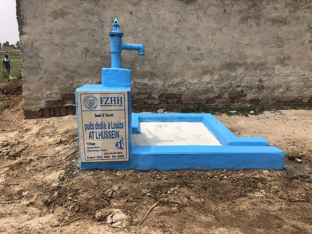 puits dédié à Louiza AT LHUSSEIN - Order no. US 75015 - Well no. 6365