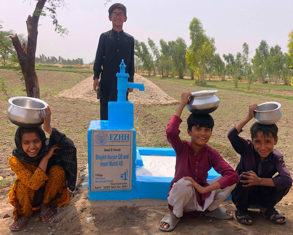 Sheikh Nurjan QS and Imam Mahdi AS - Order no. US 62964 - Well no. 5681