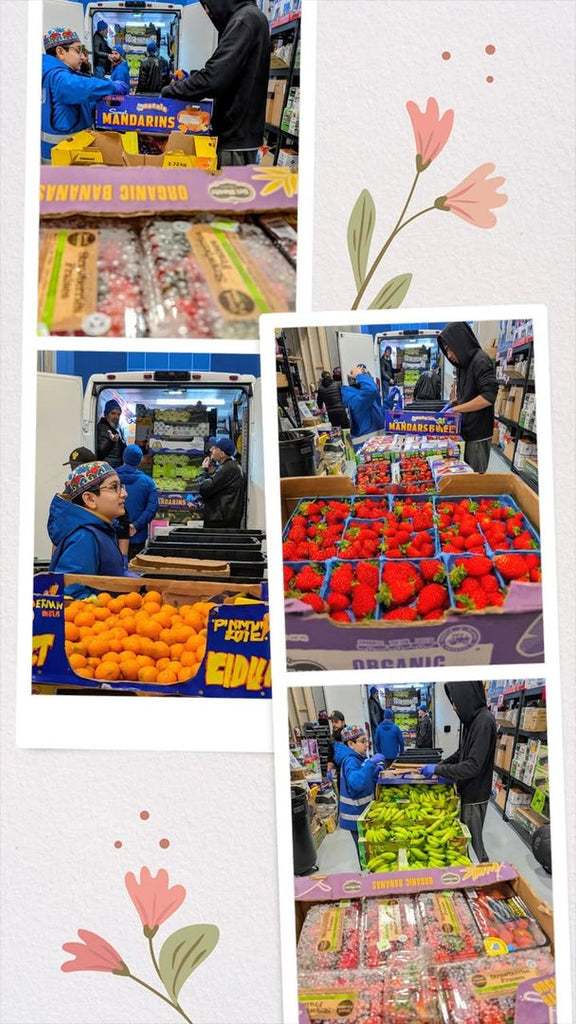 Volunteers in action in Vancouver - Jan 22 2026