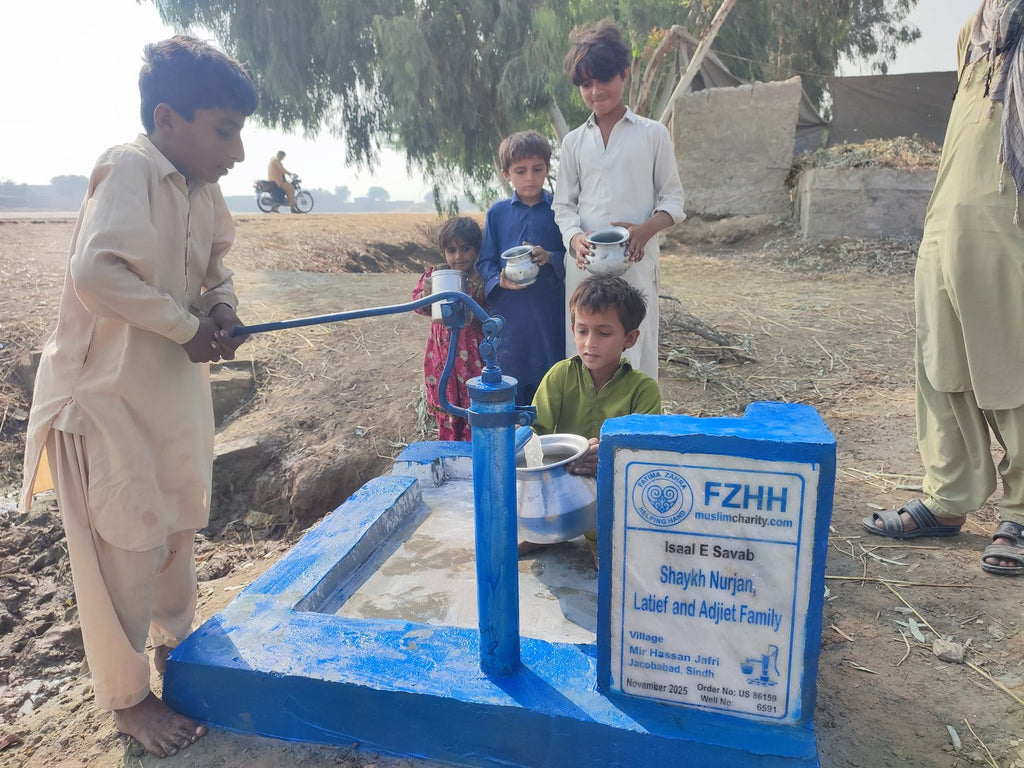 Shaykh Nurjan, Latief and Adjiet Family - Order no. US 86159 - Well no. 6591