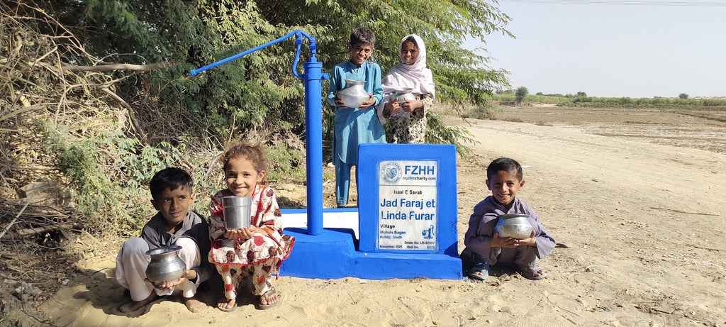 Jad Faraj et Linda Furar - Order no. US 85697 - Well no. 6573