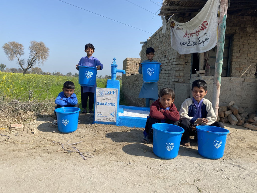 Sidra Mushtaq - Order no. US 94113 - Well no. 6866