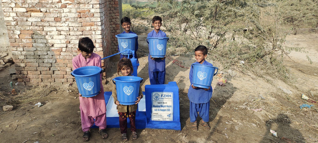 Mawlana Shaykh Nazim Adil Al-haqqani (QS) - Order no. US 91911 - Well no. 6782