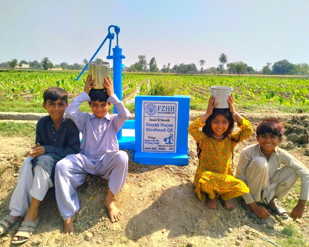 Shaykh Nurjan Mirahmadi QS - Order no. US 62113 - Well no. 5604