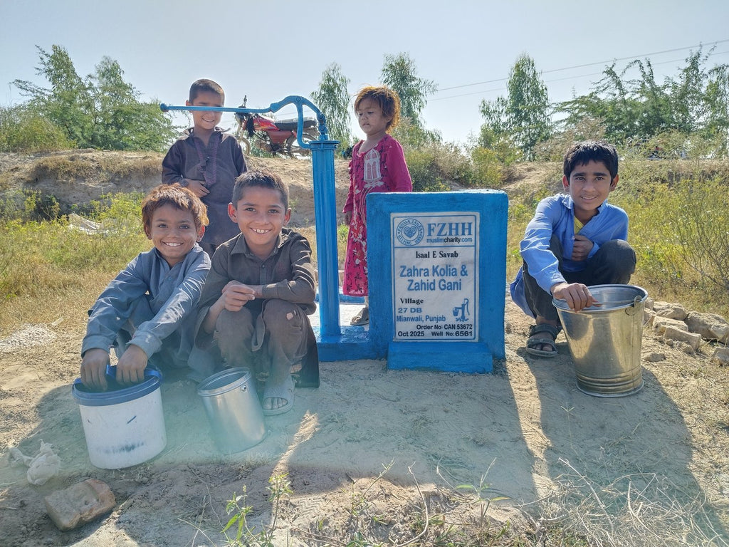 Zahra Kolia & Zahid Gani - Order no. CAN 53672 - Well no. 6561