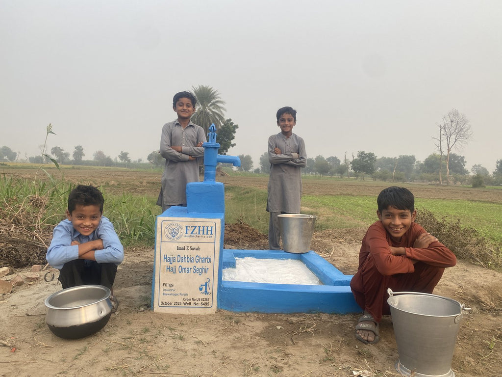 Hajja Dahbia Gharbi Hajj Omar Seghir - Order no. US 82285 - Well no. 6495