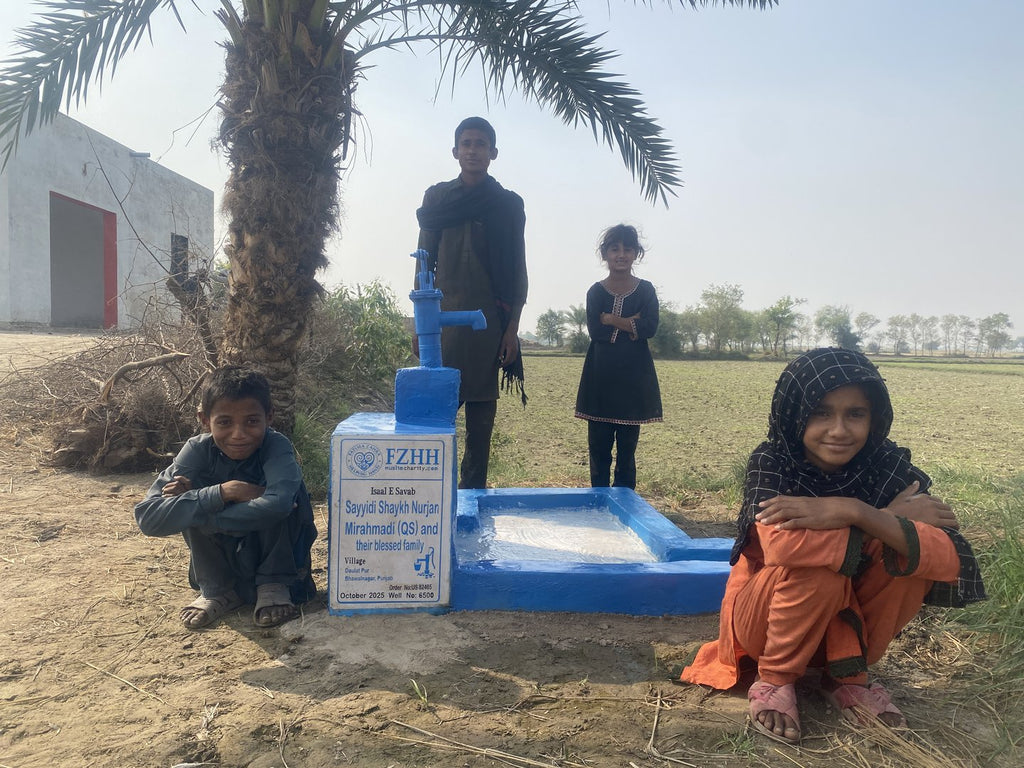 Sayyidi Shaykh Nurjan Mirahmadi (QS) and their blessed famil... - Order no. US 82465 - Well no. 6500