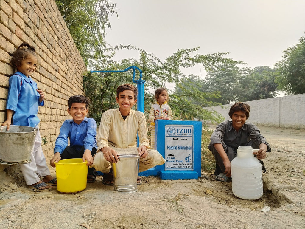 Hazarat Sakina (s.a) - Order no. CAN 53289 - Well no. 6547