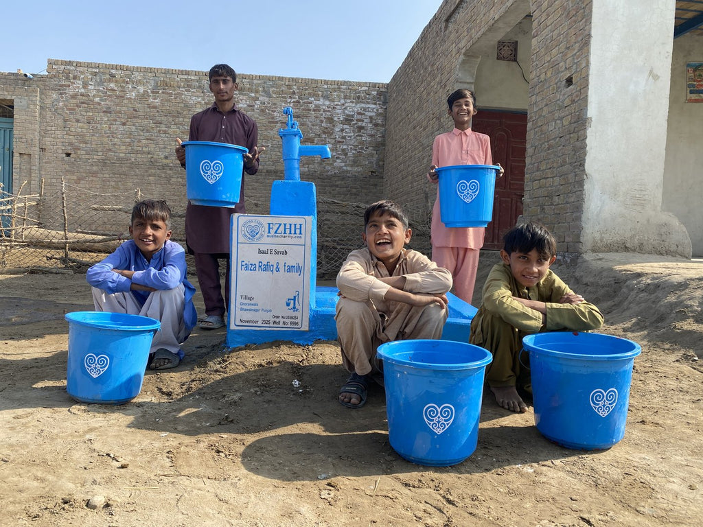 Faiza Rafiq & family - Order no. US 86254 - Well no. 6596