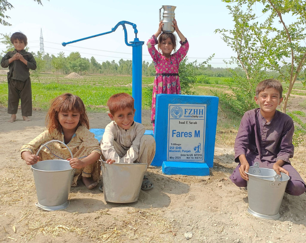 Fares M - Order no. US 67316* - Well no. 5972