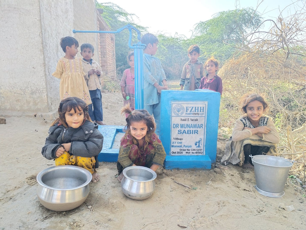 DR MUNAWAR SABIR - Order no. CAN 53731 - Well no. 6562