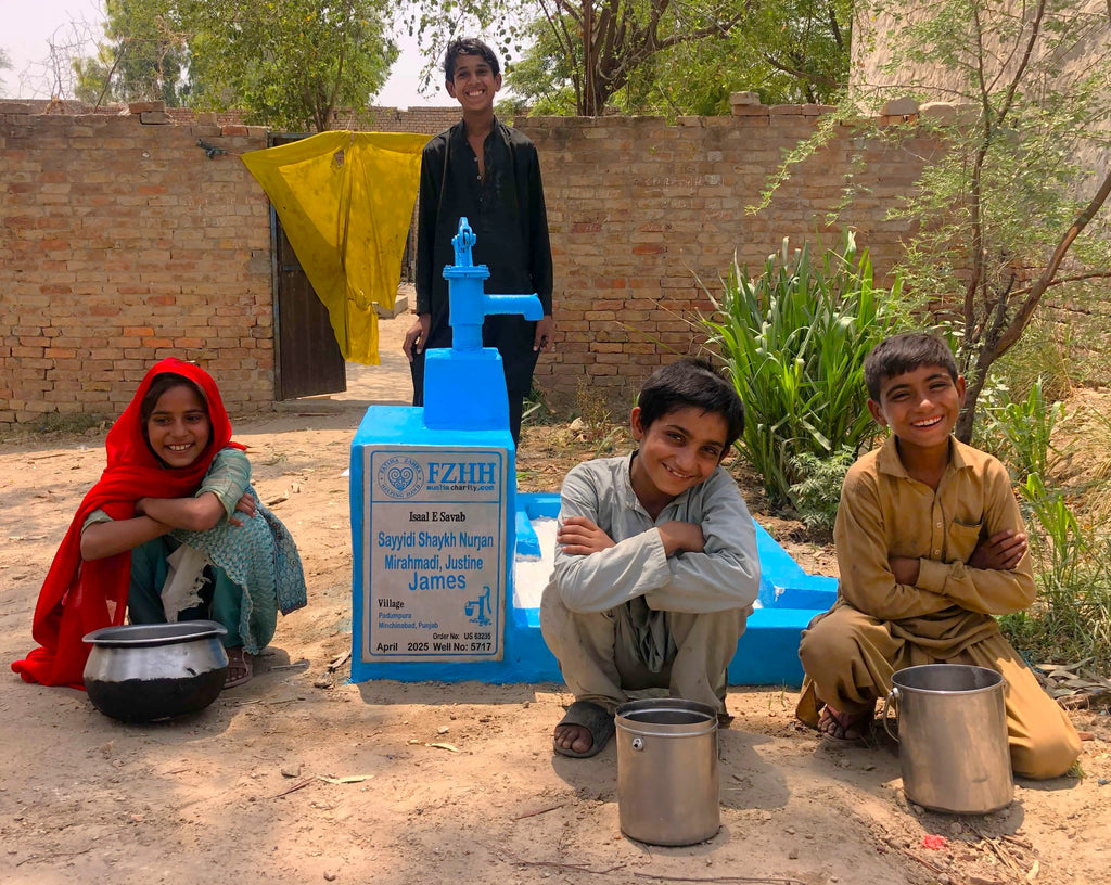 Sayyidi Shaykh Nurjan Mirahmadi, Justine James - Order no. US 63235 - Well no. 5717