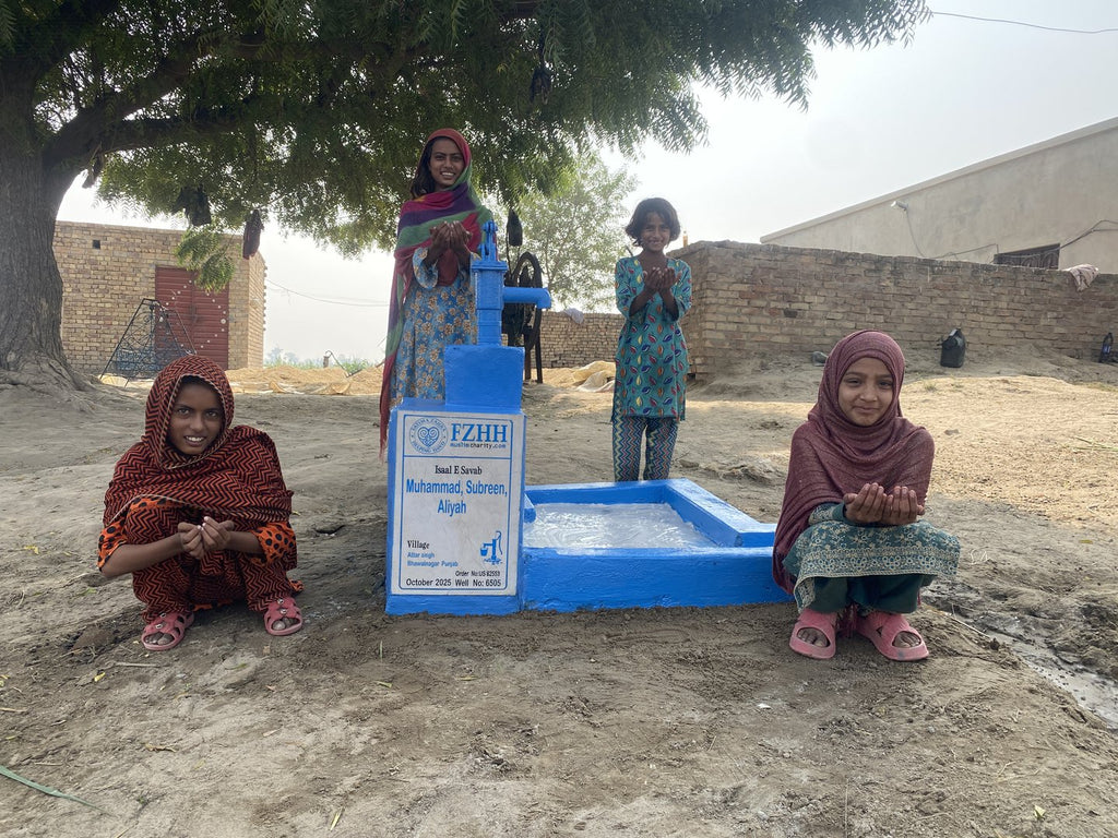 Muhammad,Subreen,Aliyah - Order no. US 82553 - Well no. 6505