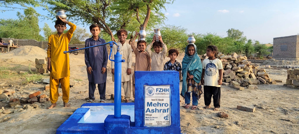 Mehro Ashraf - Order no. US 71285* - Well no. 6193
