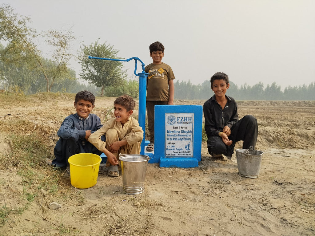 Mawlana Shaykh Muhayuddin Muhammad bin ‘Ali Ibn Arabi (Alayh... - Order no. US 84431 - Well no. 6546